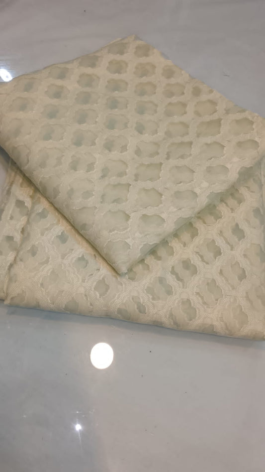 (15 )  2pc Sana Safinaz Lawn net jacquard fancy stuff